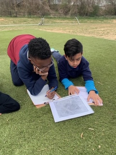 Students in park reading 